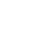 IconPPI (1)